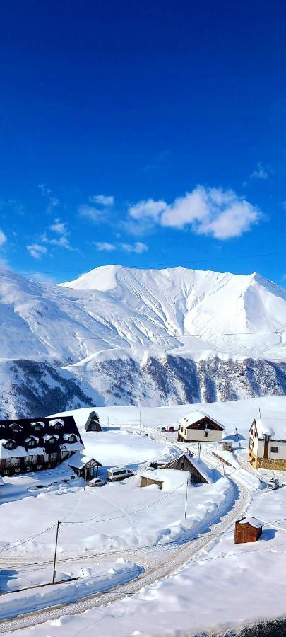 Gudauri Winter House Daire Dış mekan fotoğraf